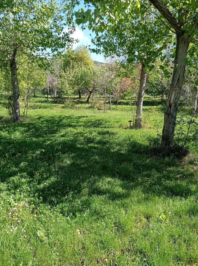 Camping Yaso-Guara Экстерьер фото
